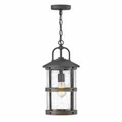 Hinkley Lakehouse Outdoor Medium Hanging Lantern - Aged Zinc - 2682DZ-LL
