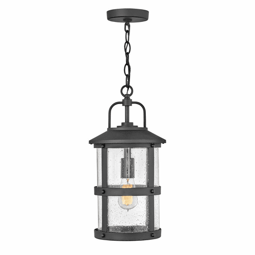 Hinkley Lakehouse Outdoor Medium Hanging Lantern - Black - 2682BK-LV