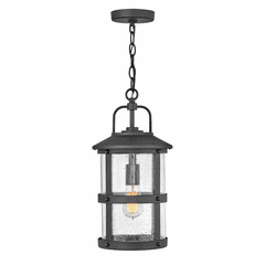 Hinkley Lakehouse Outdoor Medium Hanging Lantern - Black - 2682BK-LV