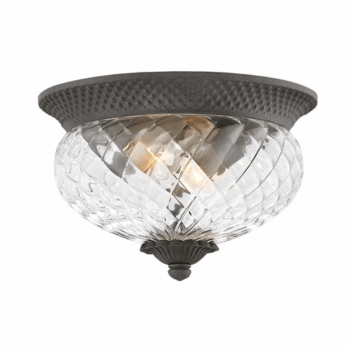 Hinkley Plantation Outdoor Ceiling Light - Museum Black - 2128MB