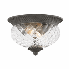 Hinkley Plantation Outdoor Ceiling Light - Museum Black - 2128MB