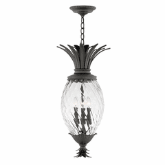 Hinkley Plantation Outdoor Hanging Light - Museum Black - 2122MB