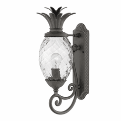 Hinkley Plantation Outdoor Wall Mount - Museum Black - 2120MB