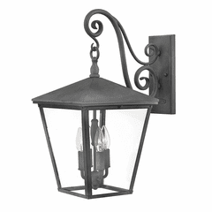 Hinkley Trellis Outdoor Large Wall Mount - Aged Zinc - 1435DZ-LL