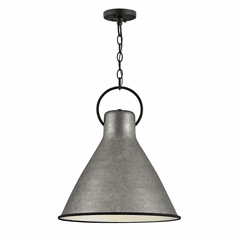 Hinkley Winnie Pendant - Rustic Pewter - 3555RP