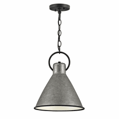 Hinkley Winnie Pendant - Rustic Pewter - 3557RP