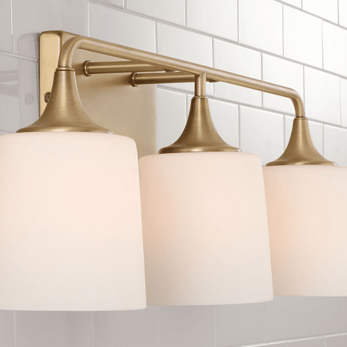 HomePlace Lighting Presley 3-Light Vanity - 148931AD-541