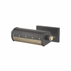 Hudson Valley Gaines 1-LT Picture Light - Aged Old Bronze - 2100-AOB