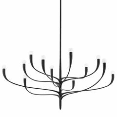 Hudson Valley Labra 12 Light Chandelier - Aged Iron - 9612-AI