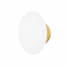 Hudson Valley Wagner 1 Light Bath Bracket - Aged Brass - 5531-AGB