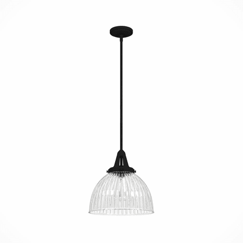 Hunter Cypress Grove 13" 1 Light Pendant - Natural Iron - 19249