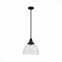 Hunter Cypress Grove 13" 1 Light Pendant - Natural Iron - 19249