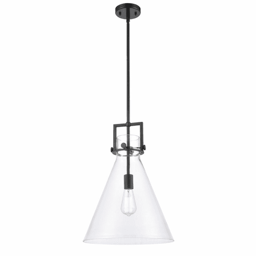 Innovations Newton 1 Light Mini Pendant - Matte Black - 411-1S-BK-14CL