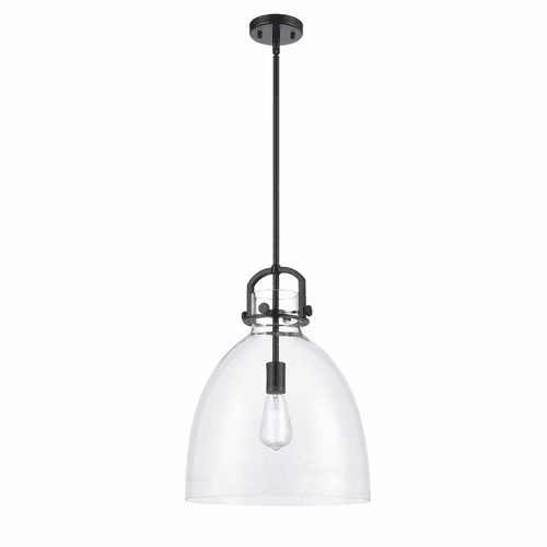 Innovations Newton 1 Light Mini Pendant - Matte Black - 412-1S-BK-14CL
