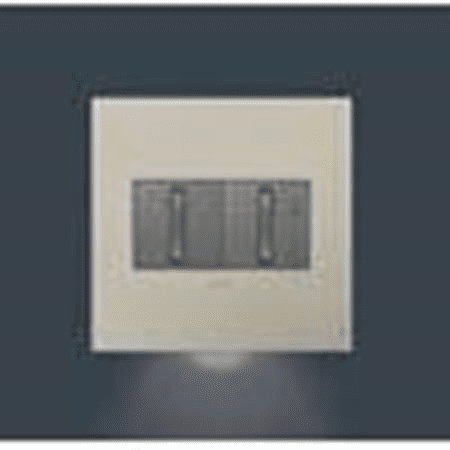 Legrand Adorne Accent Nightlight, 2-Gang  AAAL2G2