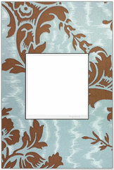 Legrand Adorne Custom Wall Plate, 1-Gang, White Trim  AWM1G2W4