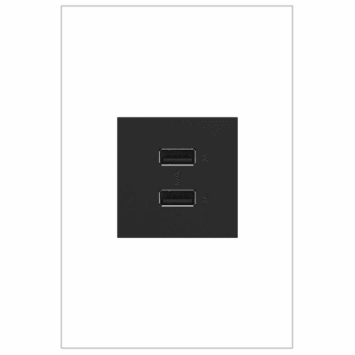 Legrand Adorne Full-Size A/A USB Outlet - Graphite - ARUSB2AA6G4