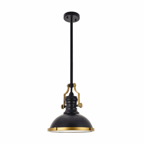 Living District Eamon 1-LT Pendant - Matte Black - LD5001D13BRB