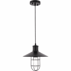Living District Flaneur  1-LT Pendant - Black - LD7505BK