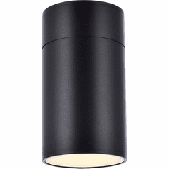 Living District Raine Outdoor Wall Light - Black - LDOD4039BK