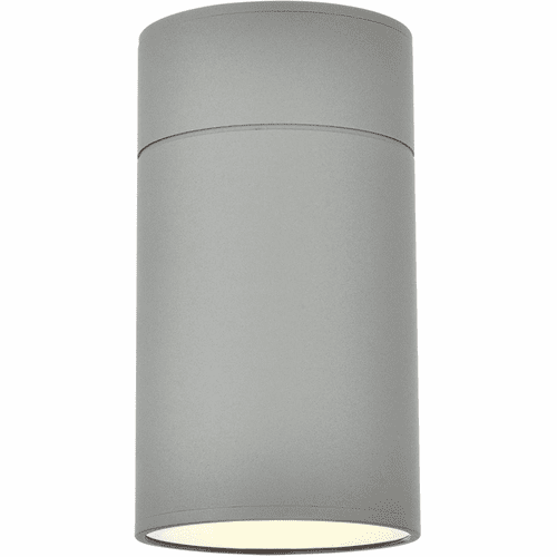 Living District Raine Outdoor Wall Light - Silver - LDOD4039S