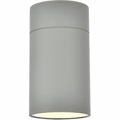 Living District Raine Outdoor Wall Light - Silver - LDOD4039S