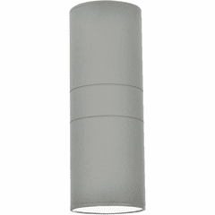 Living District Raine Outdoor Wall Light - Silver - LDOD4040S