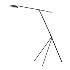 Maxim Scan 1-LT LED Floor lamp - Black / Satin Brass - 21694BKSBR