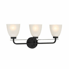Minka Lavery Kaitlen 3 Light Bath Vanity - Coal - 2883-66A