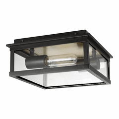 Outdoor Ceiling Lights