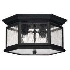 Outdoor Ceiling Lights