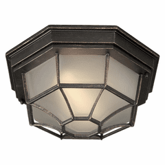 Outdoor Ceiling Lights
