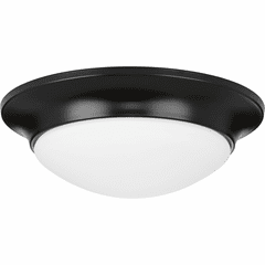 Progress 1-LT 11-1/2" Etched Glass Flush Mount - Black - P350146-031