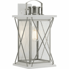Progress Barlowe 1-Light 100W Wall Lantern - Stainless Steel - P560158-135