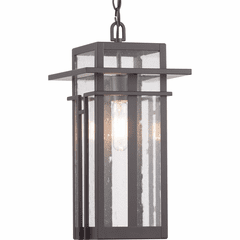 Progress Boxwood 1-LT Outdoor Hanging Lantern - Antique Bronze - P550039-020
