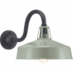 Progress Cedar Springs 1-LT Outdoor X-Large Wall Lantern - Pistachio - P560091-079