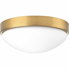 Progress Elevate Collection 13" LED Flush Mount - Brushed Bronze - P350105-109-30
