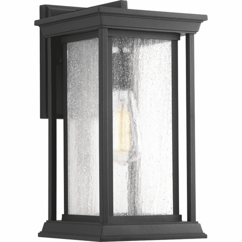 Progress Endicott 1-LT Outdoor Medium Wall Lantern - Black - P5610-31