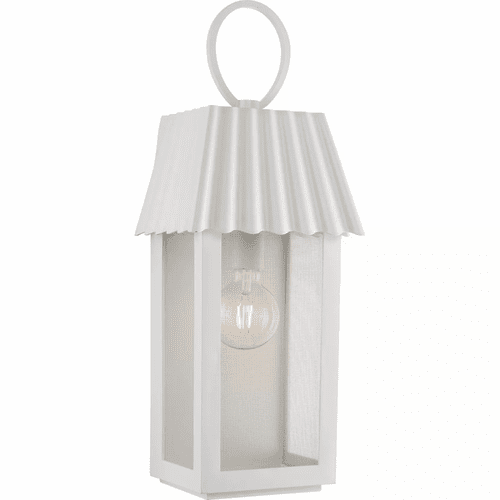 Progress Hook Pond 1-LT Outdoor Wall Light - Shelter White - P560306-192