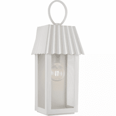 Progress Hook Pond 1-LT Outdoor Wall Light - Shelter White - P560306-192