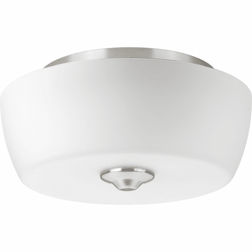 Progress Leap Collection 2-LT 14" Flush Mount - Brushed Nickel - P350061-009