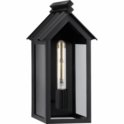Progress Point Dume-Dunemere 1-LT Outdoor Wall Light - Matte Black - P560304-31M