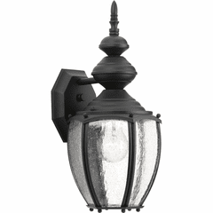 Progress Roman Coach 1-LT Outdoor Medium Wall Lantern - Black - P5765-31