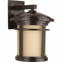 Progress Wish 1-LT Outdoor Medium Wall Lantern - Antique Bronze - P6085-20