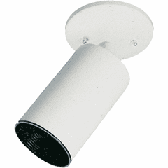 Quorum 1-LT Ceiling Mount - White - 3128-1-6