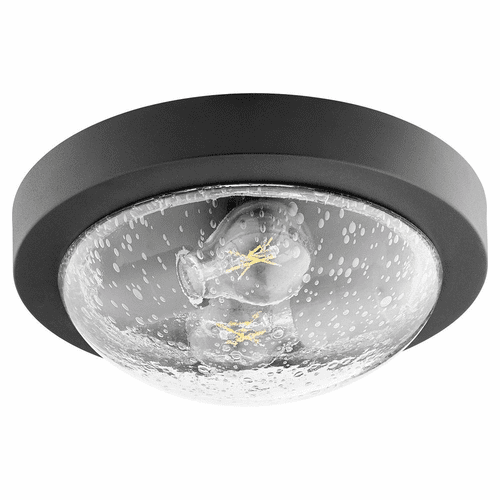 Quorum 11" 2-LT Ceiling Mount - Noir w/Clear/Seeded - 3502-11-69