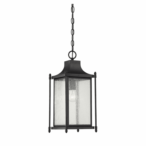 Savoy House Dunnmore Hanging Lantern - Black - 5-3455-BK