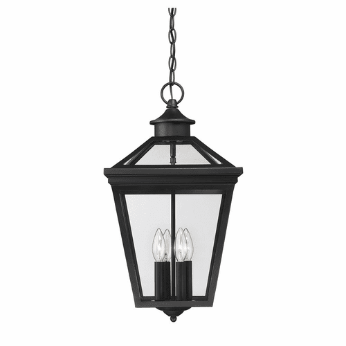 Savoy House Ellijay 12" Steel Hanging Lantern - Black - 5-145-BK