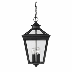 Savoy House Ellijay 12" Steel Hanging Lantern - Black - 5-145-BK
