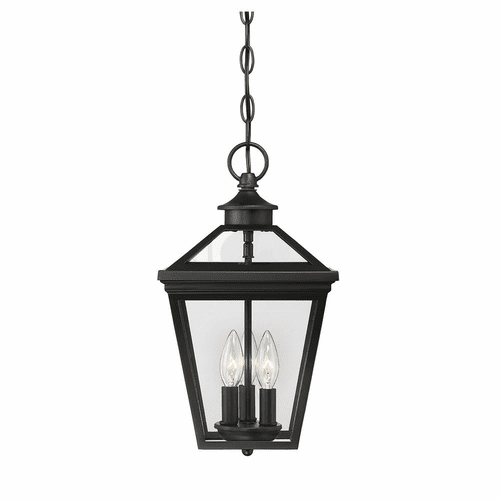 Savoy House Ellijay 9" Steel Hanging Lantern - Black - 5-146-BK